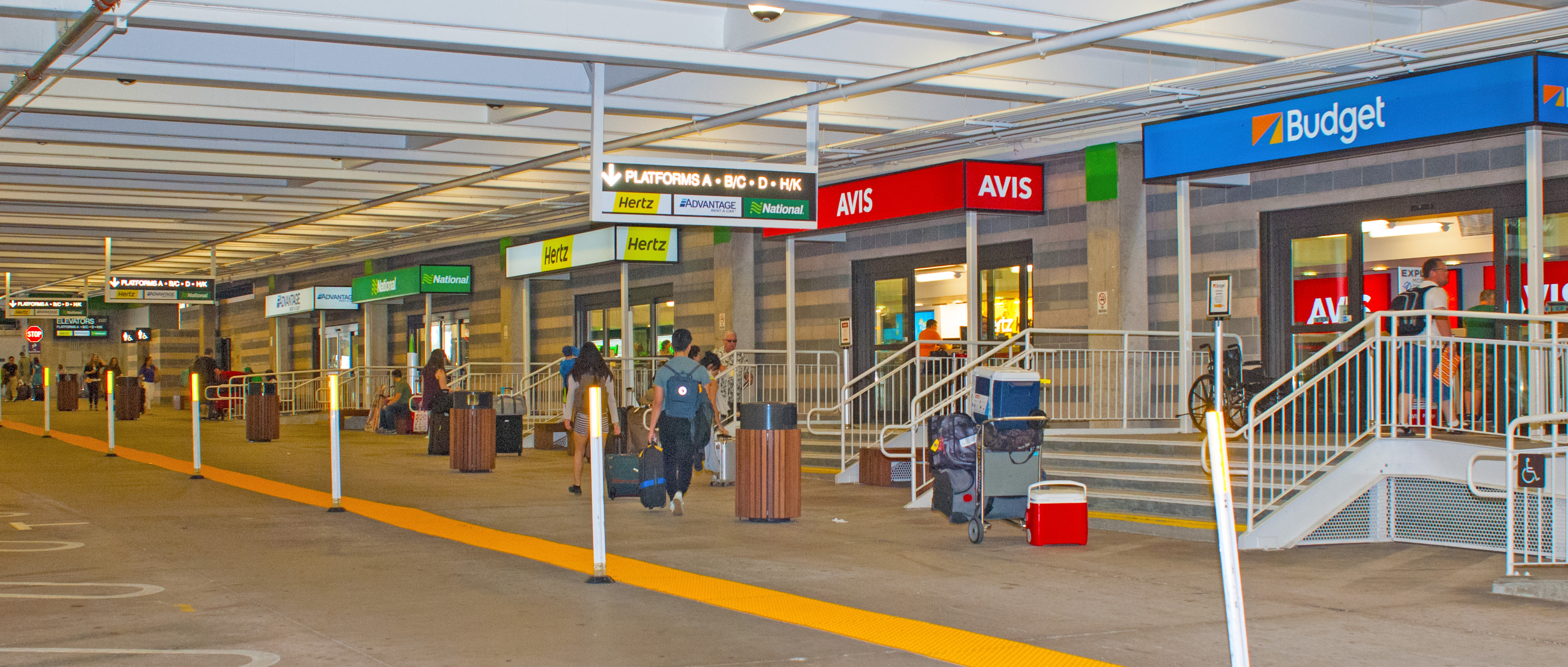 Car Rental