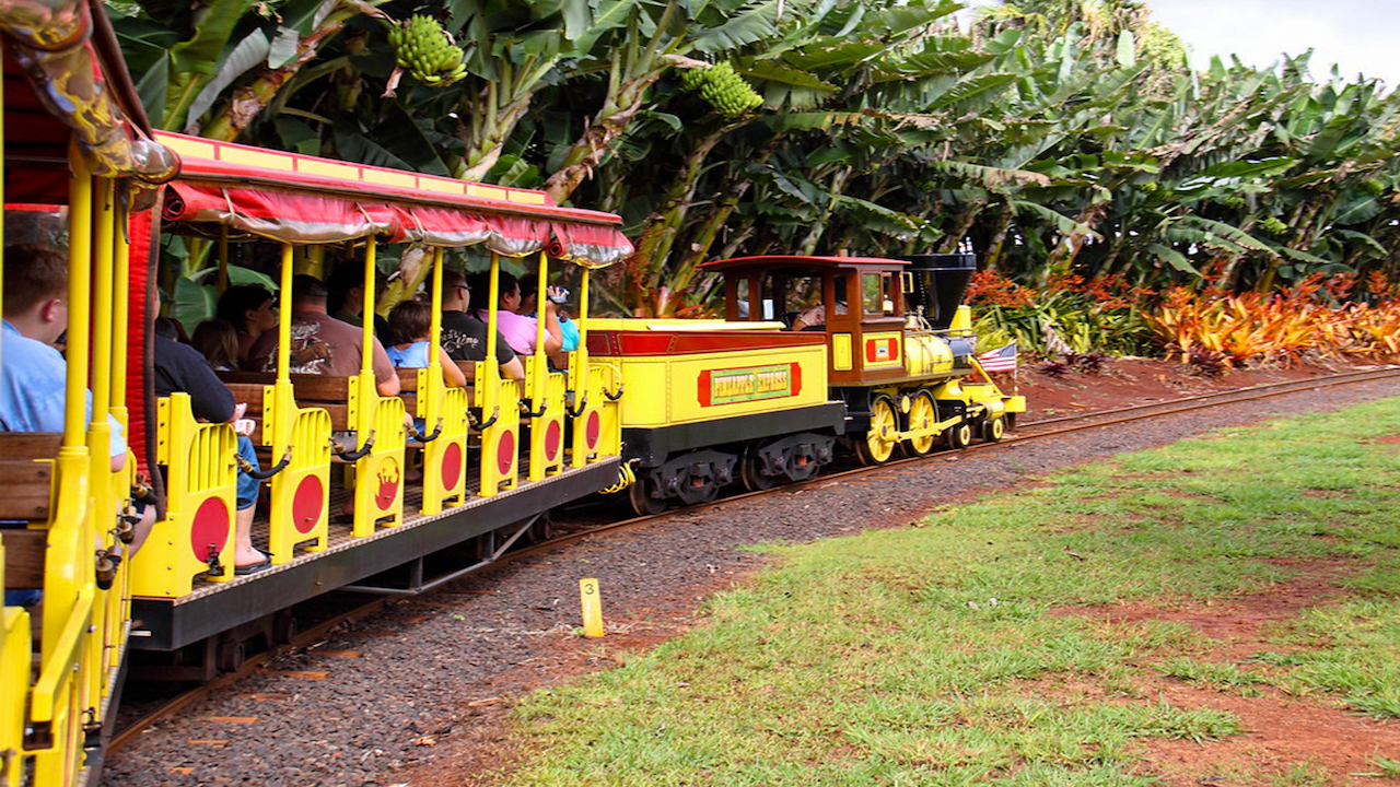 Dole Train