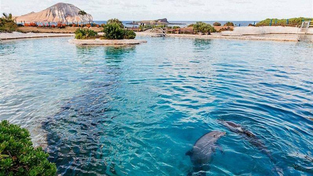 Sea Life Park