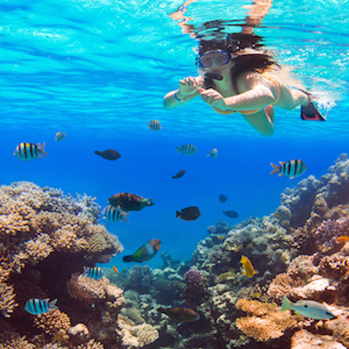 Snorkeling